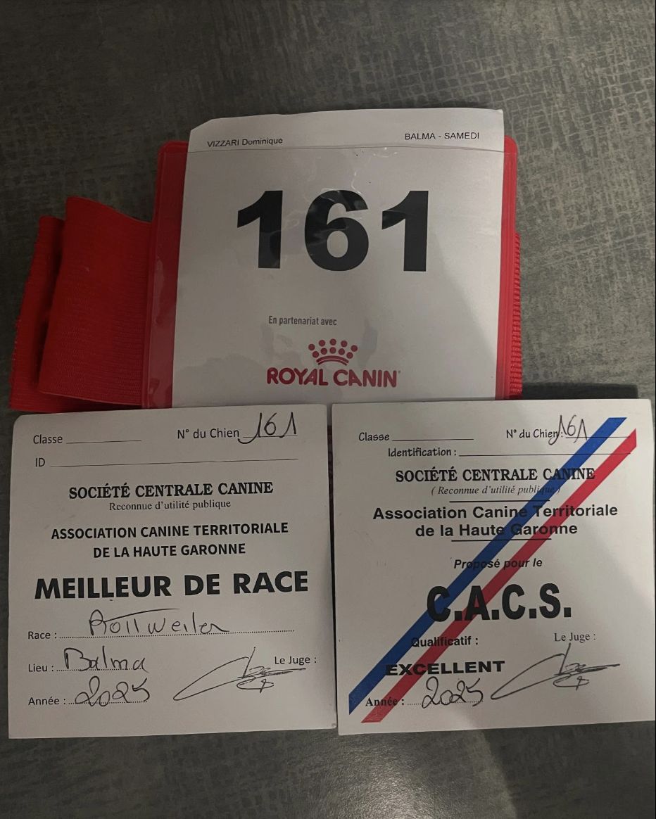 Certificats officiels Meilleur de race et C.A.C.S. de la Société Centrale Canine